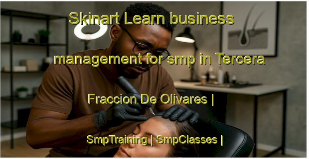 Skinart Learn business management for smp in Tercera Fraccion De Olivares | SmpTraining | SmpClasses | SkinartTraining-Mexico